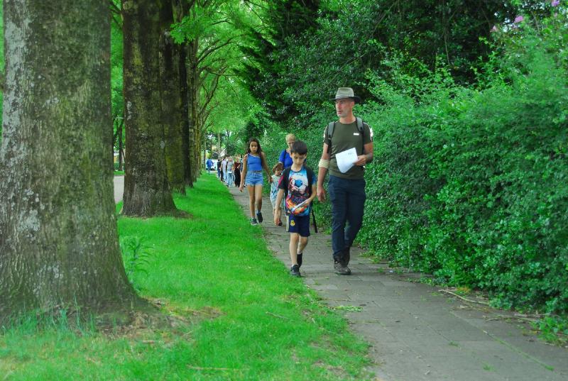 Featured image of post Verslag Avondvierdaagse 2025